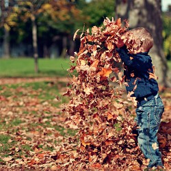 Family Storytime: Autumn is HERE!